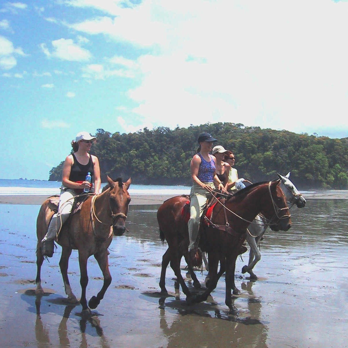 Horseback Riding in Jaco – A Guide