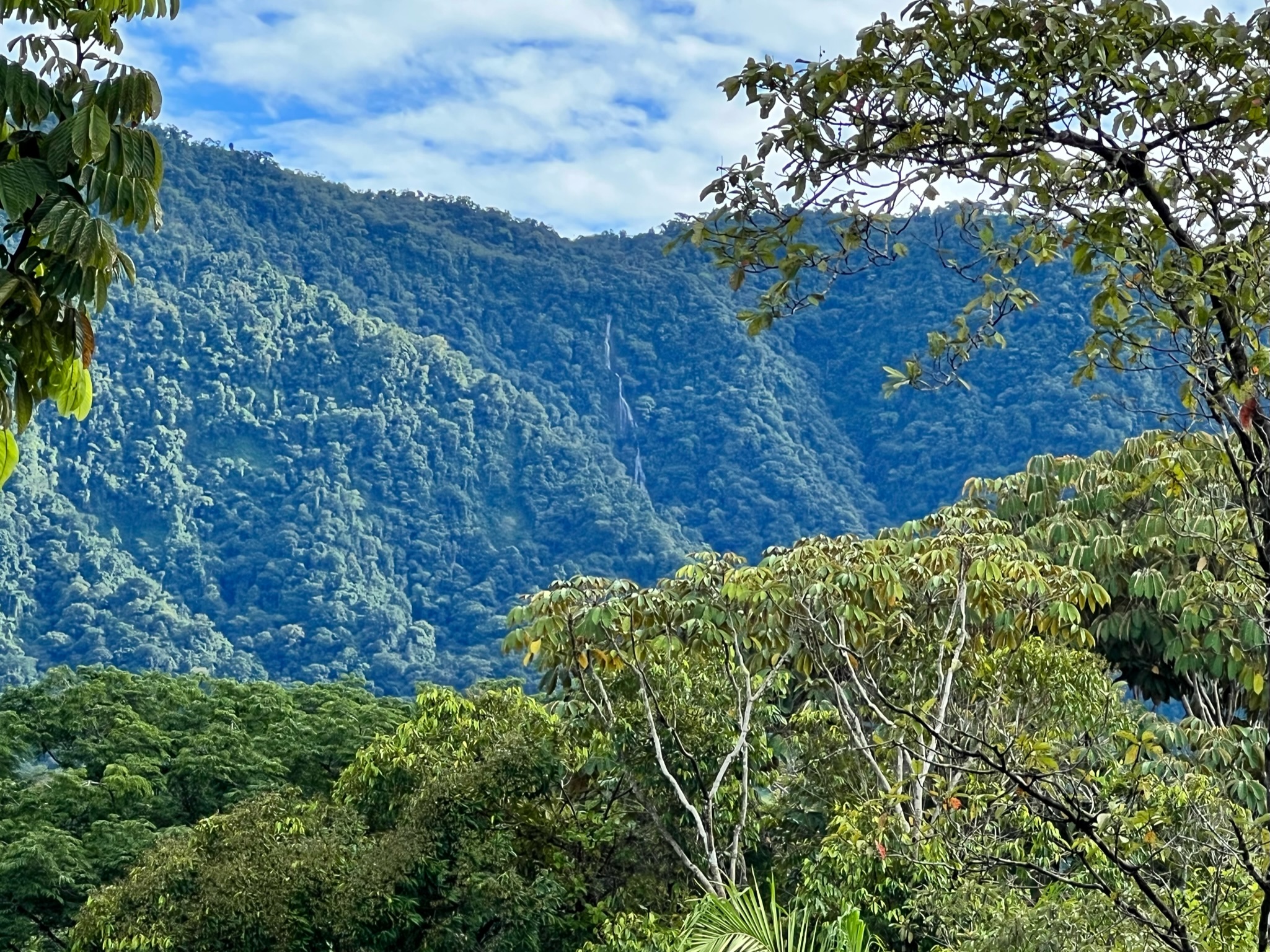 Monteverde Cloud Forest Reserve – Costa Rica